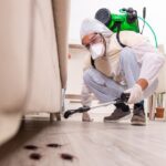 DIY Pest Control