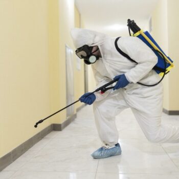 Pest Control