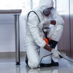 Pest Control Services