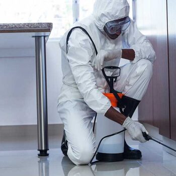 Pest Control Services