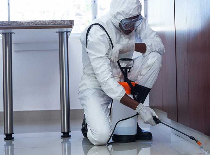 Pest Control Services