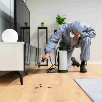 Home for Pest Treatment