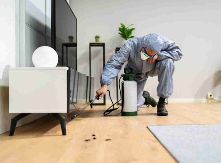 Home for Pest Treatment
