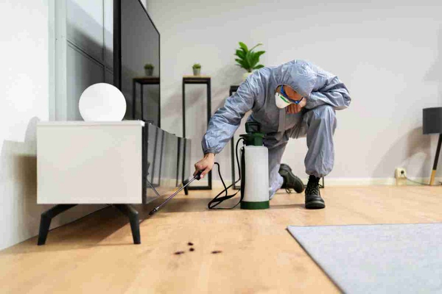 Home for Pest Treatment