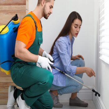 Pest Control in Indianapolis