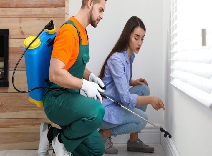 Pest Control in Indianapolis