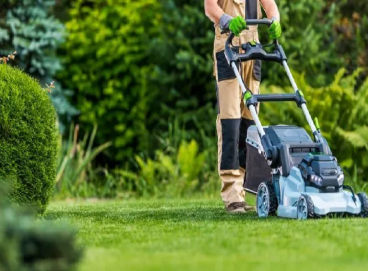 lawn care services in Lakewood